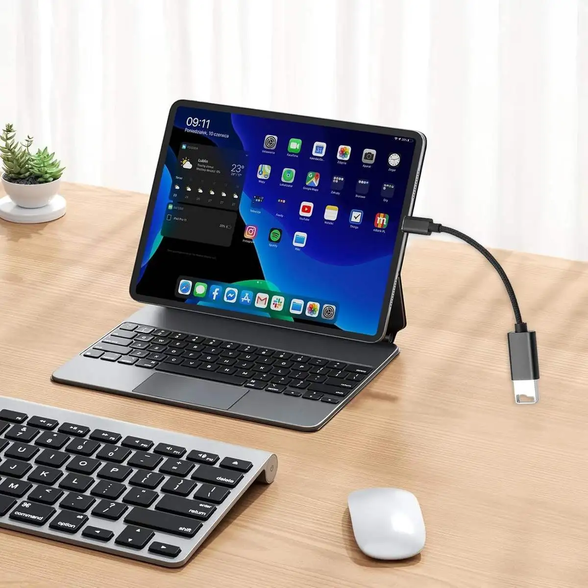 Type-C OTG Adapter Cable - Image 6